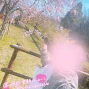 ヒメ日記 2026/03/28 00:19 投稿 うる 岐阜美濃加茂・可児ちゃんこ
