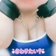 ヒメ日記 2026/07/07 10:49 投稿 うる 岐阜美濃加茂・可児ちゃんこ