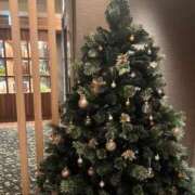 ヒメ日記 2025/11/24 16:21 投稿 希音(のん) グランドオペラ横浜