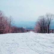 ヒメ日記 2025/11/24 17:41 投稿 希音(のん) グランドオペラ横浜