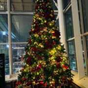 ヒメ日記 2025/12/15 19:01 投稿 希音(のん) グランドオペラ横浜