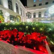 ヒメ日記 2025/12/23 21:53 投稿 希音(のん) グランドオペラ横浜