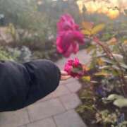 ヒメ日記 2026/03/02 00:05 投稿 希音(のん) グランドオペラ横浜