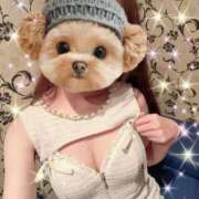 ヒメ日記 2025/11/29 10:13 投稿 もも SOPHIA（ソフィア）