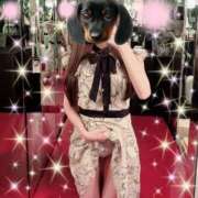 ヒメ日記 2025/12/07 22:13 投稿 もも SOPHIA（ソフィア）