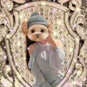 ヒメ日記 2025/12/11 10:18 投稿 もも SOPHIA（ソフィア）