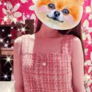 ヒメ日記 2025/12/11 22:13 投稿 もも SOPHIA（ソフィア）