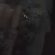 ヒメ日記 2026/01/19 13:53 投稿 きゅあ【天性の性欲モンスター】 STELLA TOKYO－ステラトウキョウ－