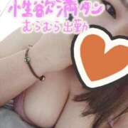 ヒメ日記 2025/12/12 11:33 投稿 みさ 丸妻 厚木店