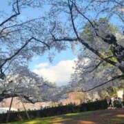 みさ 無事です！ 丸妻 厚木店