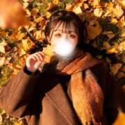 ヒメ日記 2025/11/23 12:36 投稿 まり 深海魚