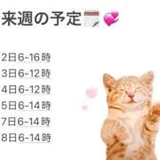 ヒメ日記 2026/02/01 18:58 投稿 まり 深海魚