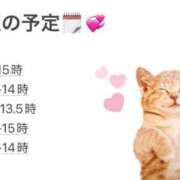 ヒメ日記 2026/02/08 23:48 投稿 まり 深海魚