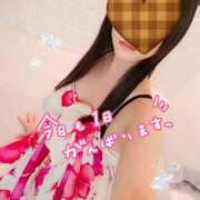 ヒメ日記 2025/11/20 07:30 投稿 ゆず スイカ