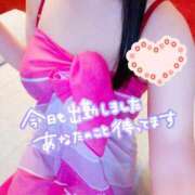 ヒメ日記 2025/12/10 07:30 投稿 ゆず スイカ