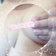 ヒメ日記 2025/11/27 10:26 投稿 高瀬 昼顔妻 五反田店