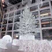 ヒメ日記 2025/11/29 09:36 投稿 高瀬 昼顔妻 五反田店