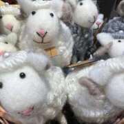 ヒメ日記 2025/11/30 09:06 投稿 高瀬 昼顔妻 五反田店