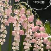 ヒメ日記 2025/12/31 09:36 投稿 高瀬 昼顔妻 五反田店