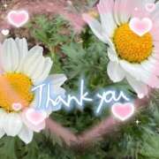 ヒメ日記 2026/01/15 13:56 投稿 高瀬 昼顔妻 五反田店