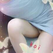 ヒメ日記 2026/01/24 10:14 投稿 恋-こい- 奥さまさくら京橋店