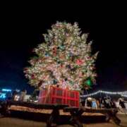ヒメ日記 2025/12/13 15:05 投稿 ゆあ おクンニ学園 横浜関内校