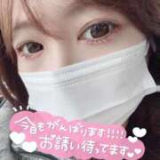 ヒメ日記 2026/02/12 08:57 投稿 あおい 川崎・東横人妻城