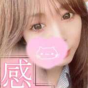 ヒメ日記 2026/02/19 09:56 投稿 あおい 川崎・東横人妻城