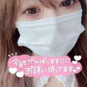 ヒメ日記 2026/04/09 09:32 投稿 あおい 川崎・東横人妻城