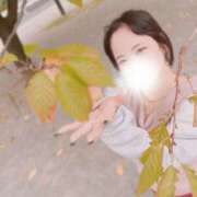 ヒメ日記 2025/11/16 12:23 投稿 はな モアグループ熊谷人妻花壇