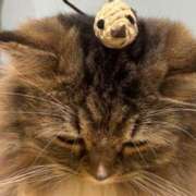 ヒメ日記 2025/11/27 08:48 投稿 れいか プロローグ-序章-浜松店