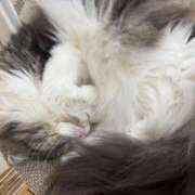 ヒメ日記 2025/11/28 10:46 投稿 れいか プロローグ-序章-浜松店