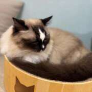 ヒメ日記 2025/11/29 09:01 投稿 れいか プロローグ-序章-浜松店