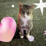 れいか おはようございます? プロローグ-序章-浜松店