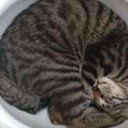 ヒメ日記 2026/02/22 18:05 投稿 まこと プロローグ-序章-浜松店