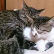 ヒメ日記 2026/02/28 00:55 投稿 まこと プロローグ-序章-浜松店