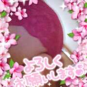 ヒメ日記 2026/01/23 22:51 投稿 つむぎ プロローグ-序章-浜松店