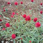 ヒメ日記 2026/02/14 08:32 投稿 つむぎ プロローグ-序章-浜松店