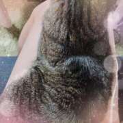 ヒメ日記 2026/02/17 12:33 投稿 つむぎ プロローグ-序章-浜松店