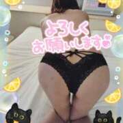 ヒメ日記 2026/04/01 06:35 投稿 つむぎ プロローグ-序章-浜松店