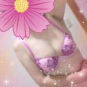 ヒメ日記 2026/04/01 12:28 投稿 つむぎ プロローグ-序章-浜松店