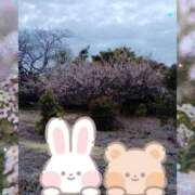 ヒメ日記 2026/04/02 06:36 投稿 つむぎ プロローグ-序章-浜松店