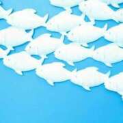 ヒメ日記 2026/04/15 09:01 投稿 つむぎ プロローグ-序章-浜松店