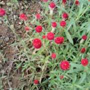 ヒメ日記 2026/04/24 06:58 投稿 つむぎ プロローグ-序章-浜松店