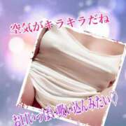 ヒメ日記 2026/02/01 12:07 投稿 あん プロローグ-序章-浜松店