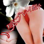 ヒメ日記 2026/02/04 10:30 投稿 あん プロローグ-序章-浜松店