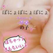 ヒメ日記 2026/02/09 08:01 投稿 あん プロローグ-序章-浜松店