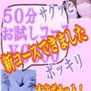 ヒメ日記 2026/02/16 15:30 投稿 あん プロローグ-序章-浜松店