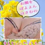 ヒメ日記 2026/03/04 15:01 投稿 あん プロローグ-序章-浜松店