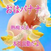 ヒメ日記 2026/03/08 11:23 投稿 あん プロローグ-序章-浜松店